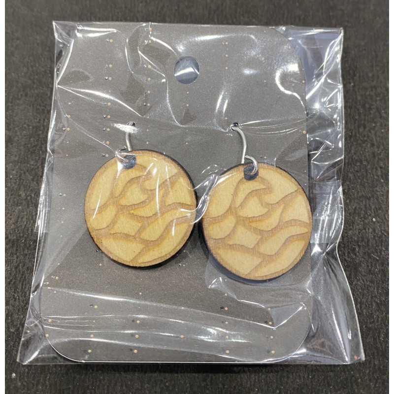 Boucles d'Oreilles Pendantes