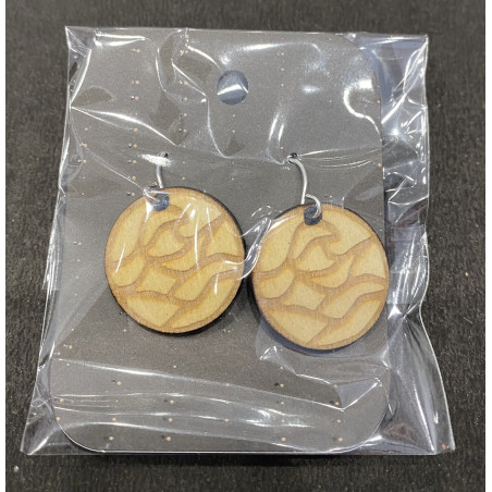 Boucles d'Oreilles Pendantes