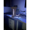 Lampe avec Prénom Personnalisé